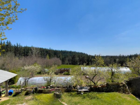 Maison rénovée tranquille dans petit coin de verdure